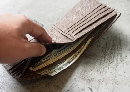 Fine Wallet Pattern - Image 6